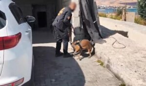 bitliste uyusturucu operasyonu 5 kisi tutuklandi gPFxeESH.jpg